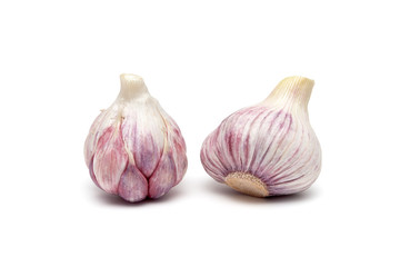 Garlic isolated on white background