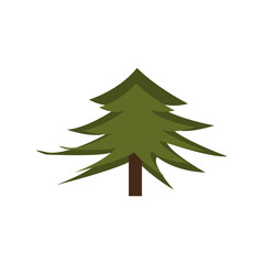 Obraz premium pine tree isolated icon vector illustration design