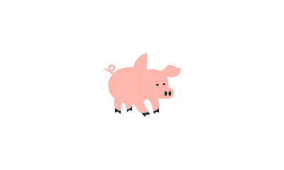 pig vector