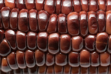 Violet sweet corn macro shot