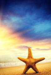 Naklejka na ściany i meble Starfish on the beach on a sunny day