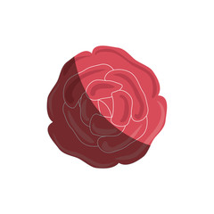 cute flower decorative icon vector illustration design