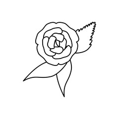 cute flower decorative icon vector illustration design