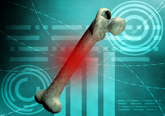 osso humano (femur) sobre fundo científico