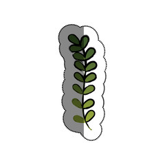 cute leafs decorative icon vector illustration design