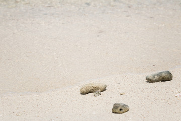Fototapeta na wymiar Sea sand and pebble . Summer beach background.