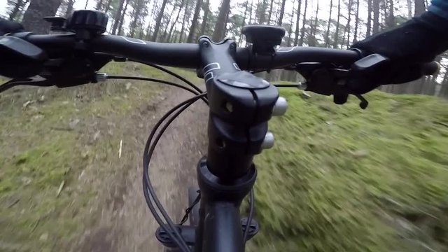 cyclist riding mountain bike on forest trail