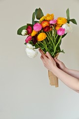 Ranunculus flower bouquet in the hand on the white background