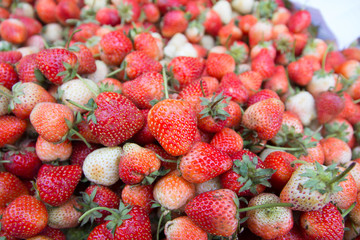 Fresh strawberries