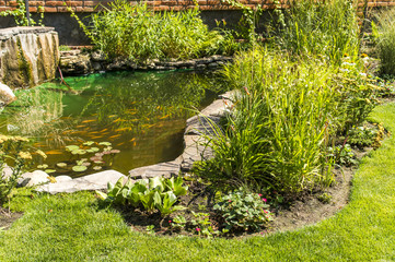 artificial pond with flowers and fish