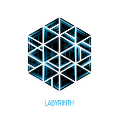 Hexagon volume labyrinth. Vector abstract logo