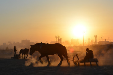 Fototapeta na wymiar Ban'ei Winter Race Horse Training in Tokachi, Obihiro, Hokkaido