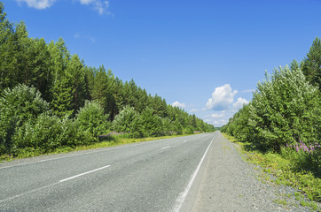 Fototapeta premium Beautiful summer landscape with the road