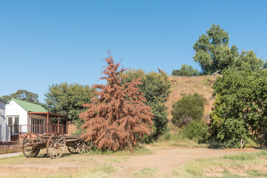 Ox-wagon and two cannons on a hill in Philippolis