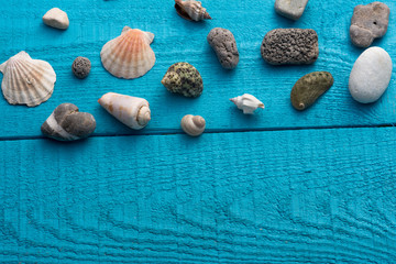 Seashells on a blue wooden background