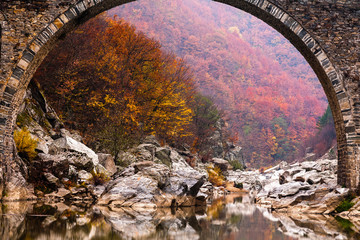 Bridge arch over a river in an autumn forest