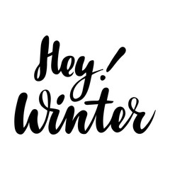 Greeting card with phrase Hey Winter. Vector isolated illustration: brush calligraphy, hand lettering. Inspirational typography poster. For calendar, postcard, label and decor.