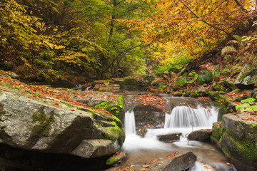 Plakat Picturesque scene of autumn forest with a stream