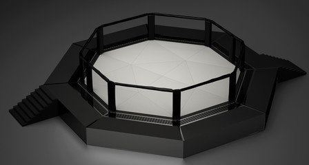 Oktagon UFC Bellator Ring MMA pugliato arti marziali miste