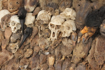 Skulls and Voodoo paraphernalia, Akodessawa Fetish Market, Lomé, Togo / This market is located in Lomé, the capital of Togo in West Africa and is is largest voodoo market in the world. 