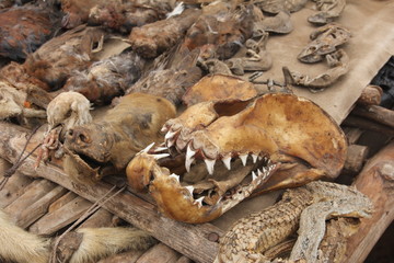 Voodoo paraphernalia, Akodessawa Fetish Market, Lomé, Togo / This market is located in Lomé, the capital of Togo in West Africa and is is largest voodoo market in the world. 