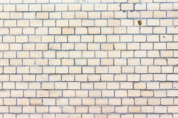 Simple White Brick Wall as a Background