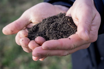 Soil in hand