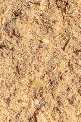 Sun-illuminated wood sawdust of yellow color