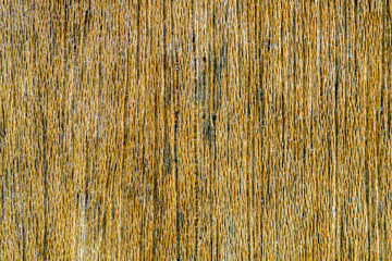 abstract texture of the surface of a wooden plank, close up wood