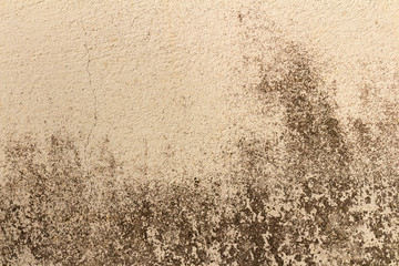 dirty wall texture color cream and white old