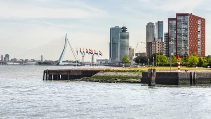 Fototapete Erasmusbrücke Erasmusbrug und Skyline der Stadt Rotterdam, Holland