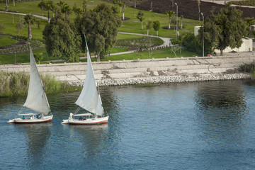 Fototapeta na wymiar Feluccas sailing on the Nile near Aswan, Egypt