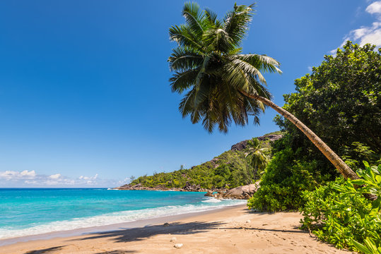 Dream Seascape Coast - Sunny day on fantastic Anse Major beach, Mahe island, Seychelles. Summer holiday concept.