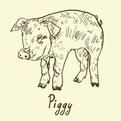 Funny piggy, sketch in pop art style, black and white vector illustration