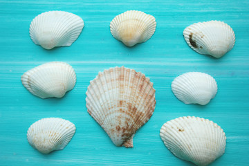 Fototapeta na wymiar shell pattern on a blue background