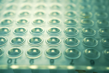 PCR Plate for laboratory experiments