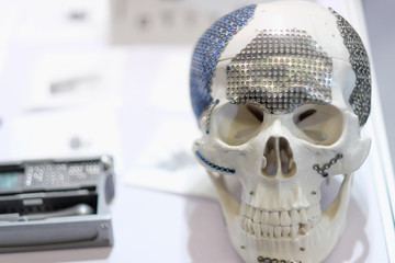Fototapeta na wymiar The human skull model as an educational tool for anatomy at the exhibition of medical equipment