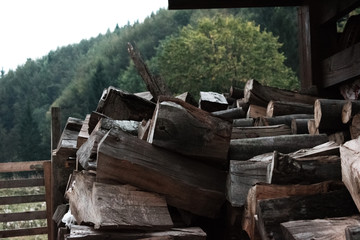 Fototapeta premium Log Pile