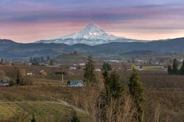 Mount Hood over Hood River at Sunset