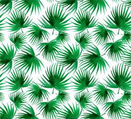 palm leaves pattern