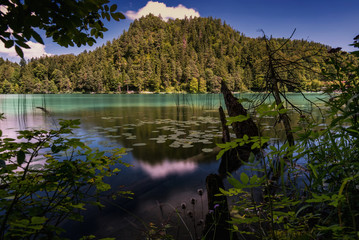 Sea in the Mountains