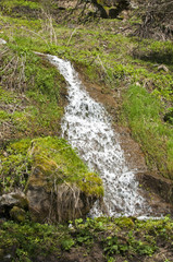 Small abounding in water mountain rocky waterfall in early springtime