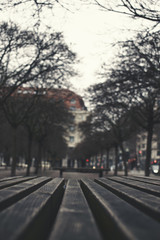 Fototapeta na wymiar Berlin urban Park Street Benches and Trees 
