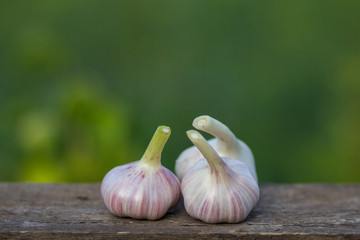 Fresh garlic on a wooden table