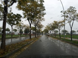 Fototapeta premium RainyDay2