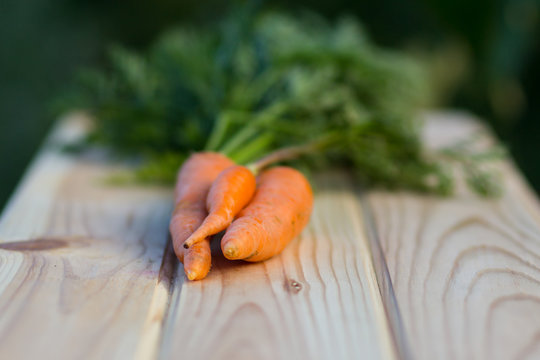 Fresh organic carrots on wooden background