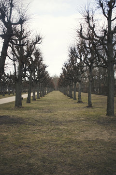 Berlin Garden in Spring Charlottenburg