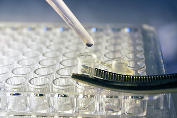 Stem Cell research Objects