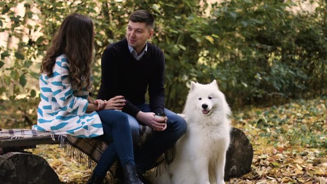 Beautiful white samoyed dog with family background in autumn park