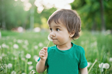 Little boy with dandelion. closeup portrait